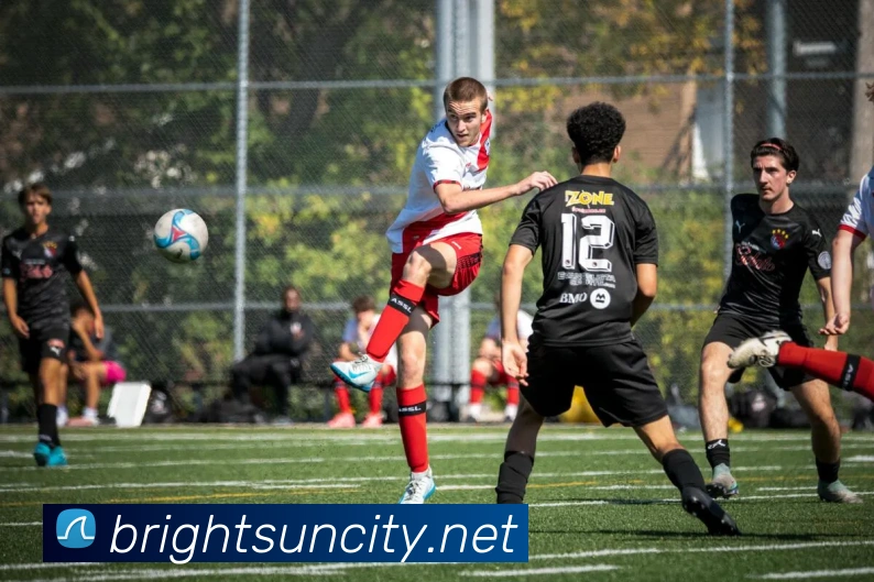 App Interface Preview