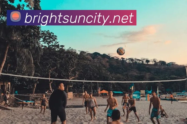 太阳城APP 封面图